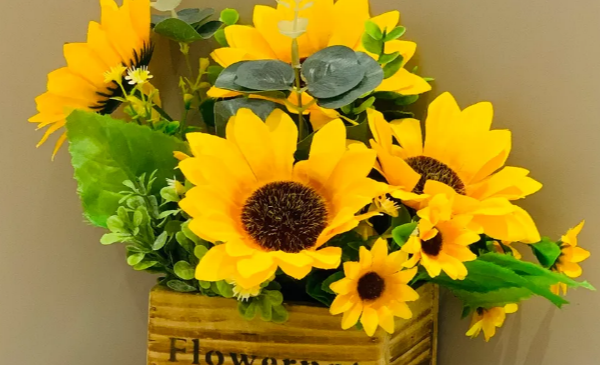 900國際衛(wèi)浴|春日煥新季!從衛(wèi)浴換新開始，釋放空間美好韻味